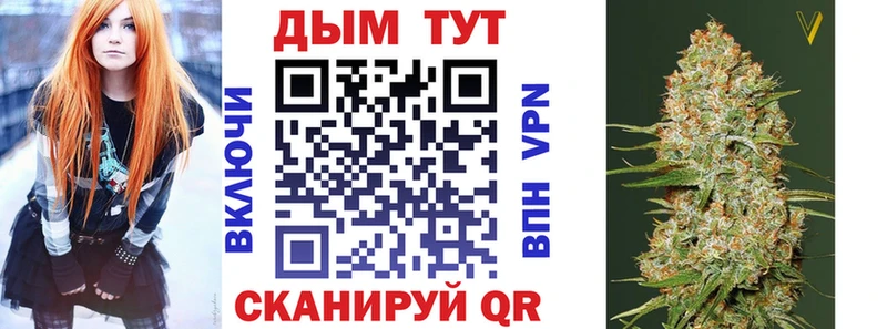 дарнет шоп  Вытегра  Конопля ГИДРОПОН 